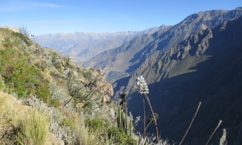 Zdjęcie PERU / Arequipa / Colca / Kanion Colca