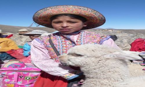 Zdjecie PERU / Andy / w drodze do Colca Canyon / dziewczynka z małą alpaką