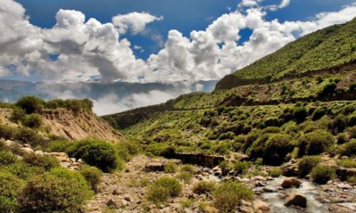 Zdjcie PERU / brak / Kanion Colca / * * *