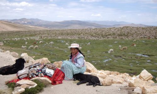 Zdjęcie PERU / w drodze do Colca / w drodze do Colca / Przydrożna sprzedawczyni