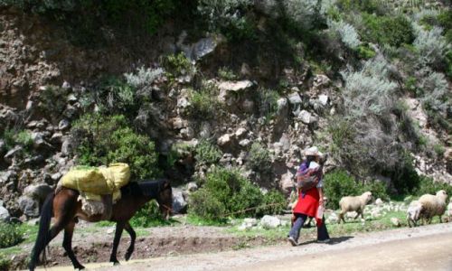 Zdjęcie PERU / brak / W droze do CRUZ del Condor / W drodze