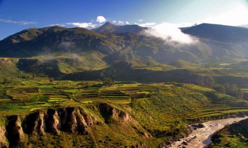 Zdjcie PERU / brak / kanion COLCA / ***