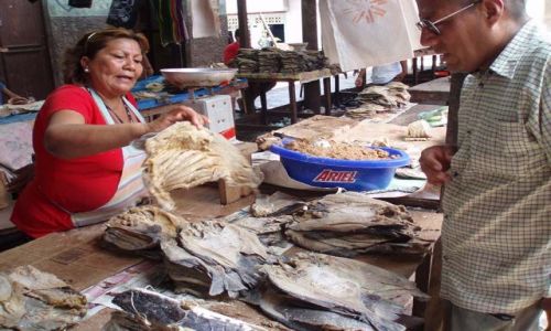 Zdjęcie PERU / amazonia (Loreto) / Iquitos / mercado Belen