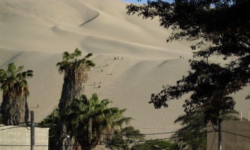 Zdjecie PERU / brak / Oaza Huacachina / Oaza Huacachina