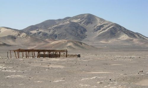 Zdjęcie PERU / brak / Nasca / Cementerio de Chauchilla na płaskowyżu Nasca