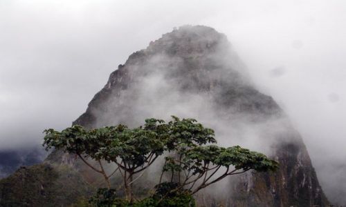 Zdjecie PERU / brak / Machu Picchu / Widok na Wayna Picchu