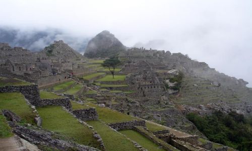 Zdjecie PERU / brak / Machu Picchiu / Machu Picchu - klasyczne ujecie