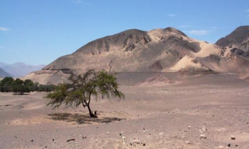 Zdjecie PERU / brak / Nazca / Bajeczne kolory