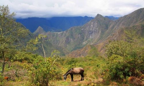 Zdjecie PERU / brak / pod szczytem Machu Picchu / cisza i spokoj