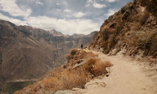 Zdjecie PERU / Andy / Kordyliery / Kanion Colca