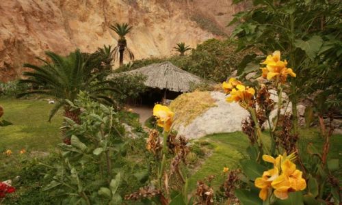 Zdjecie PERU / Andy / kanion Colca - Oasis / Niespodzianka...na dnie kanionu :D