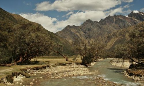 Zdjęcie PERU / - / Parque Nacional Huascaran / ...stokrotka rosla polna...