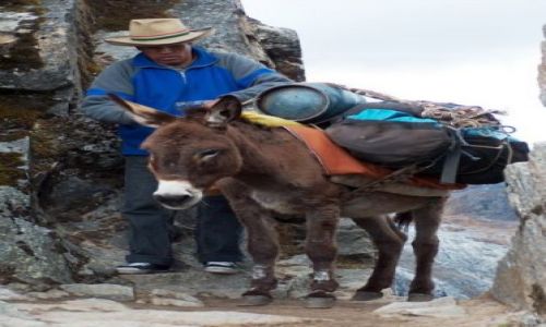 Zdjecie PERU / Cordillera Blanca / Przełęcz Punta Union / Przewodnik Marco