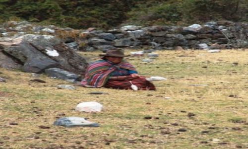 Zdjęcie PERU / Cordillera Blanca / Dolina Vaqueria / Przędzenie wełny