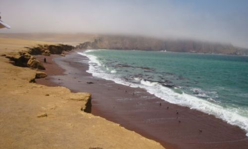 Zdjecie PERU / - / Paracas / Paracas