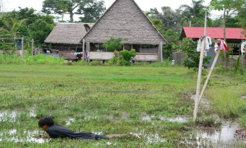 Zdjęcie PERU / - / Wioska Boca Manu / Stadiony świata