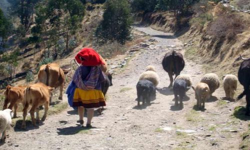 Zdjcie PERU / brak / Okolice Huaraz / W drodze do wioski Pitec