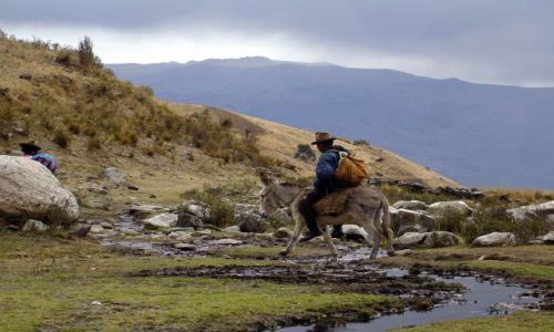 Zdjecie PERU / Okolice Huaraz, Cordillera Blanca / Okolice wioski Pitec / W okolicach wioski Pitec