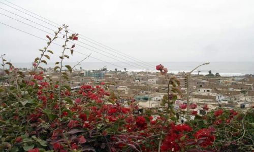 Zdjęcie PERU / brak / Huanchaco, niedaleko Trujillo / Huanchaco