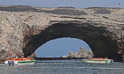 Zdjcie PERU / Paracas / Paracas / .