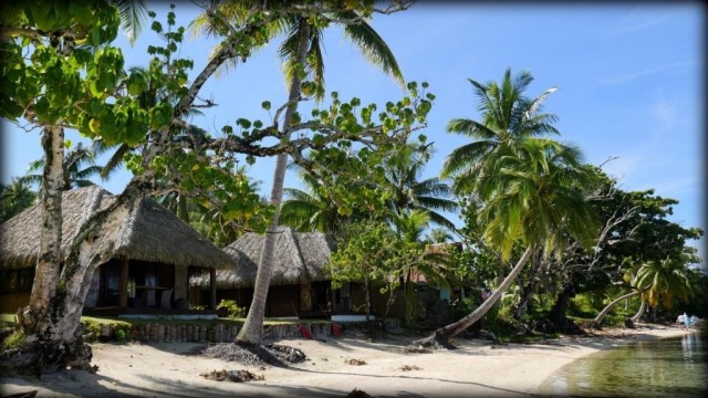 Zdj cia: Raiatea, Raiatea, domki, POLINEZJA FRANCUSKA