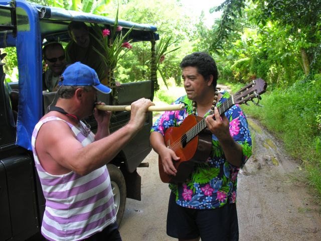 Zdjęcia: Dzungla tropikalna, Raiatea, Blus na bambusie, POLINEZJA FRANCUSKA Zdjęcia: Dzungla tropikalna, Raiatea, Blus na bambusie, POLINEZJA FRANCUSKA