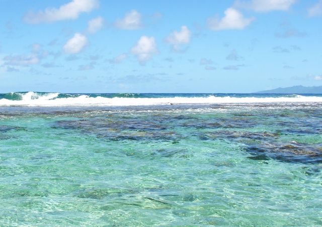 Zdjęcia: Laguna, Raiatea, Przybój na koronoe rafy koralowej, POLINEZJA FRANCUSKA Zdjęcia: Laguna, Raiatea, Przybój na koronoe rafy koralowej, POLINEZJA FRANCUSKA