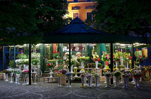 Zdjęcia: Plac Solny, Wrocław, Stragan Kwiatowy, POLSKA Zdjęcia: Plac Solny, Wrocław, Stragan Kwiatowy, POLSKA