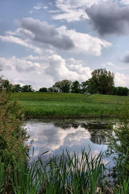 Zdjęcia: Galiny, Warmia, Galiny, POLSKA Zdjęcia: Galiny, Warmia, Galiny, POLSKA