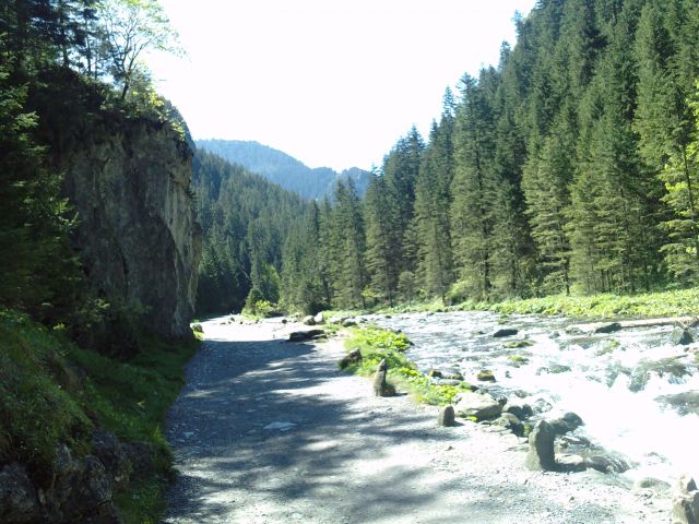 Zdjęcia: Dolina Kościeliska, Tatry, Potok kościeliski, POLSKA Zdjęcia: Dolina Kościeliska, Tatry, Potok kościeliski, POLSKA