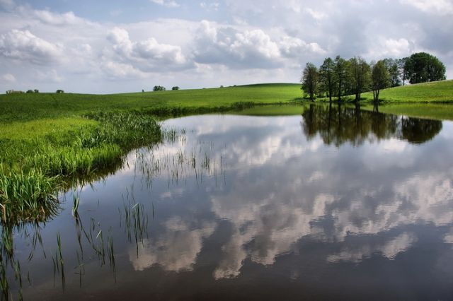 Zdjęcia: Galiny, Warmia, Wylęgarnia komarow (2), POLSKA Zdjęcia: Galiny, Warmia, Wylęgarnia komarow (2), POLSKA