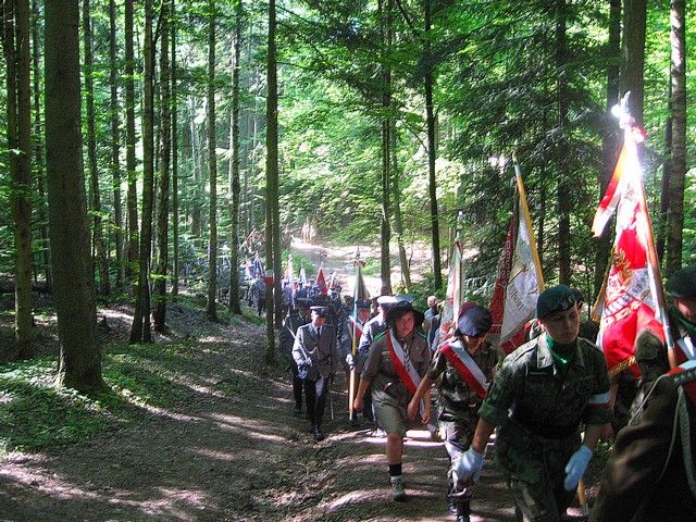 Zdjęcia: pomiędzy Siekiernem a Wąchockiem, Świętokrzyskie, Wykus, POLSKA Zdjęcia: pomiędzy Siekiernem a Wąchockiem, Świętokrzyskie, Wykus, POLSKA