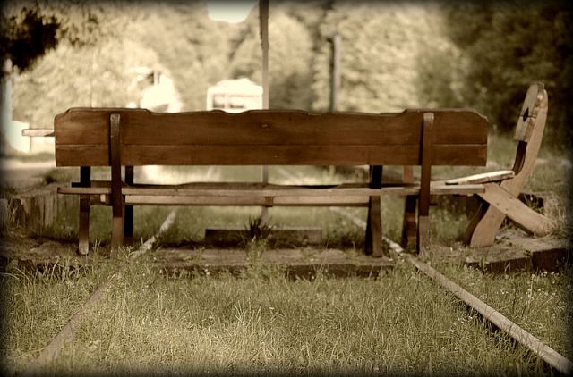 Zdjęcia: Białowieża, przerwa w podróży, POLSKA Zdjęcia: Białowieża, przerwa w podróży, POLSKA