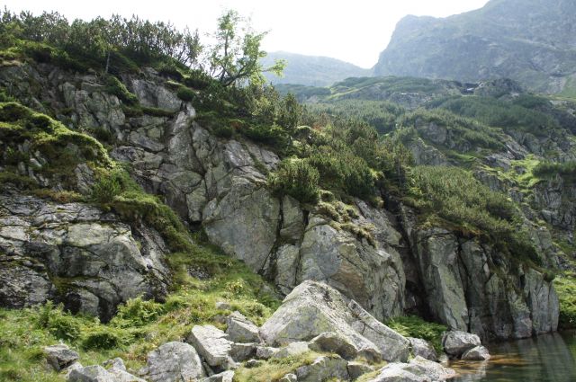Zdjęcia: Zielona Dolina G±sienicowa, Tatry, Przy Zielonym Stawie, POLSKA Zdjęcia: Zielona Dolina G±sienicowa, Tatry, Przy Zielonym Stawie, POLSKA