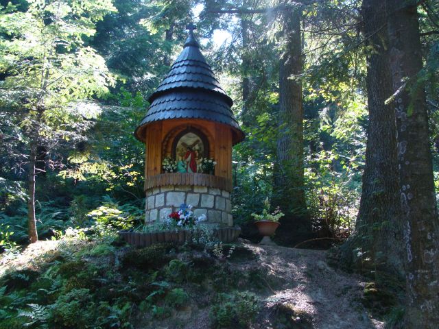 Zdjęcia: Na szlaku z Mrukowej, Beskid Niski, Zamyślenie, POLSKA Zdjęcia: Na szlaku z Mrukowej, Beskid Niski, Zamyślenie, POLSKA