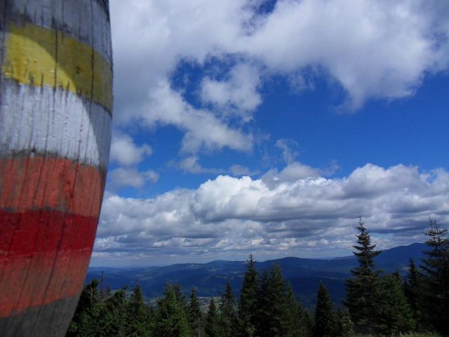 Zdjęcia: Hala Miziowa, Beskid Żywiecki, Na hali., POLSKA Zdjęcia: Hala Miziowa, Beskid Żywiecki, Na hali., POLSKA