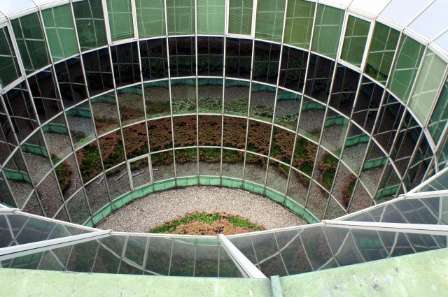 Zdjęcia: Warszawa, BUW, POLSKA Zdjęcia: Warszawa, BUW, POLSKA