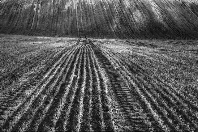 Zdjęcia: Droga do ??, POLSKA Zdjęcia: Droga do ??, POLSKA