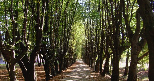 Zdjęcia: Uniejów, Wielkopolska, Park zdrojowy, POLSKA Zdjęcia: Uniejów, Wielkopolska, Park zdrojowy, POLSKA