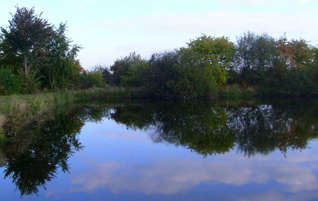 Zdjęcia: Turek, Wielkopolska, Staw, POLSKA Zdjęcia: Turek, Wielkopolska, Staw, POLSKA