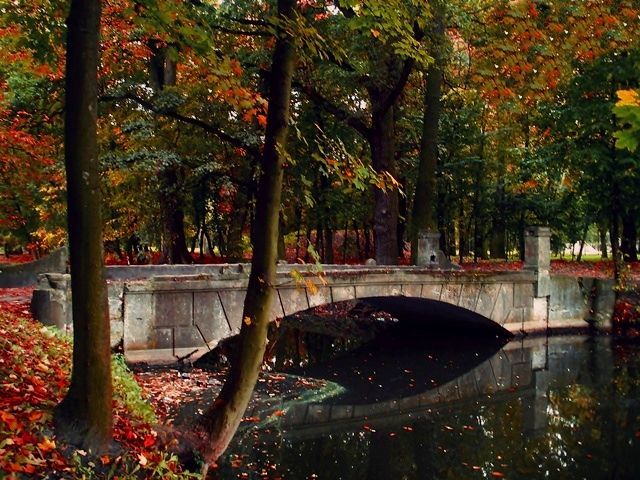 Zdjęcia: Guzów, Mazowsze, Jesień w Guzowie, POLSKA Zdjęcia: Guzów, Mazowsze, Jesień w Guzowie, POLSKA
