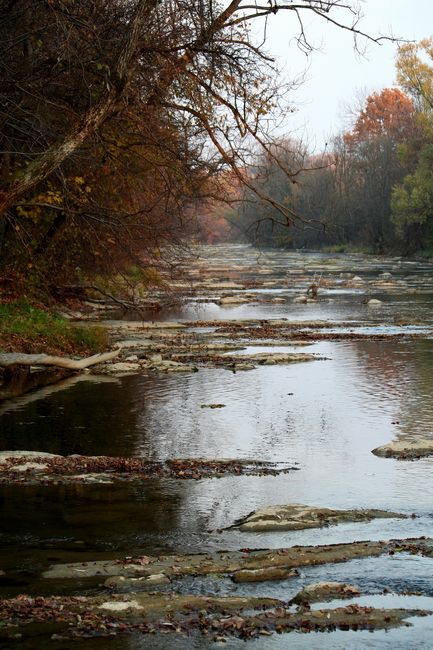 Zdjęcia: Bieszczady, San, POLSKA Zdjęcia: Bieszczady, San, POLSKA