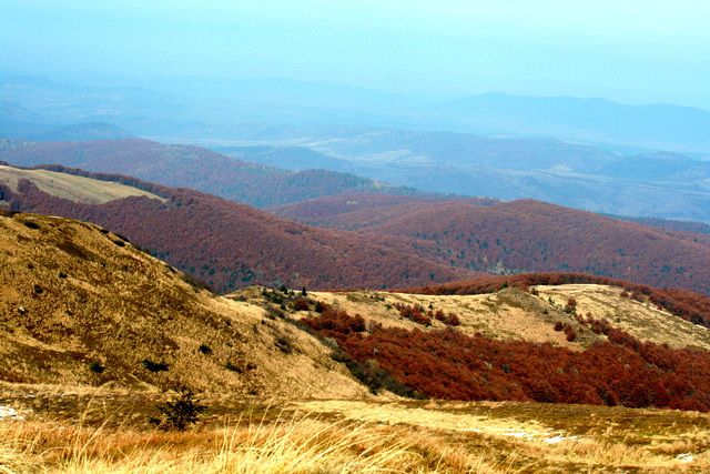 Zdjęcia: Bieszczady, Bieszczady 4, POLSKA Zdjęcia: Bieszczady, Bieszczady 4, POLSKA