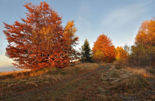 Zdjęcia: Beskid Żywiecki, Śląskie, jesień w Beskidach, POLSKA Zdjęcia: Beskid Żywiecki, Śląskie, jesień w Beskidach, POLSKA