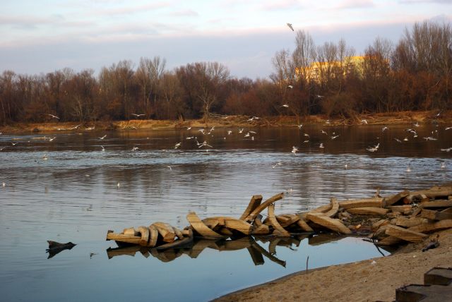 Zdjęcia: Warszawa, Młociny, Mazowsze, Nad Wisłą., POLSKA Zdjęcia: Warszawa, Młociny, Mazowsze, Nad Wisłą., POLSKA