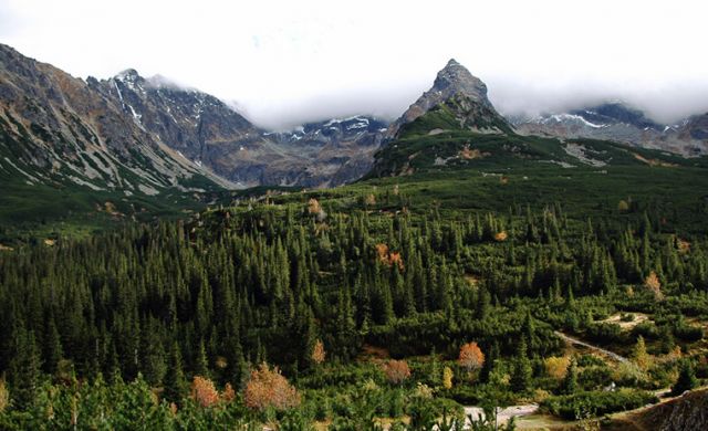 Zdjęcia: na szlaku w , Tatry , ...., POLSKA Zdjęcia: na szlaku w , Tatry , ...., POLSKA