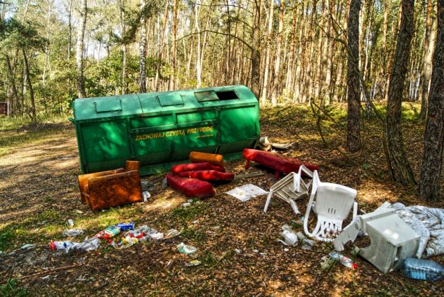 Zdjęcia: bbb, WIELKOPOLSKA, Kochajmy i szanujmy przyrodę, POLSKA Zdjęcia: bbb, WIELKOPOLSKA, Kochajmy i szanujmy przyrodę, POLSKA