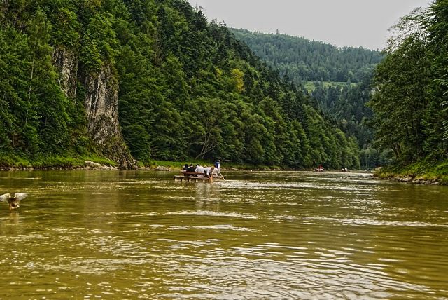 Zdjęcia: Krościenko, małopolskie, Pieniny. Spływ Dunajcem., POLSKA Zdjęcia: Krościenko, małopolskie, Pieniny. Spływ Dunajcem., POLSKA