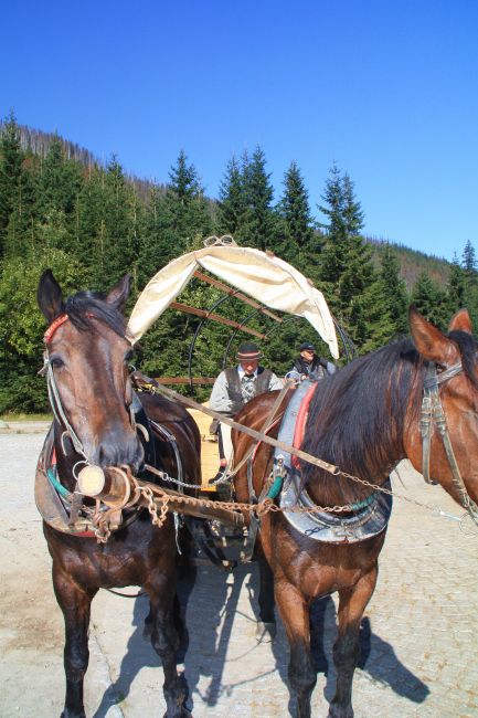 Zdjęcia: Zakopane, Zakopane, POLSKA Zdjęcia: Zakopane, Zakopane, POLSKA