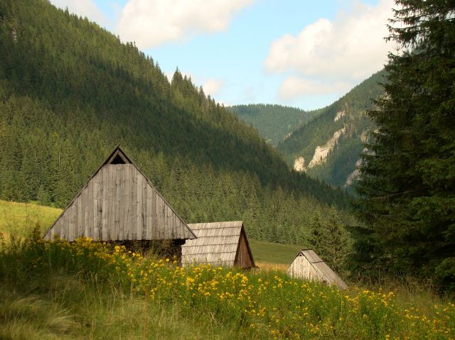 Zdjęcia: Dolina Chochołowska, Tatry, Szałasy na Chochołowskiej, POLSKA Zdjęcia: Dolina Chochołowska, Tatry, Szałasy na Chochołowskiej, POLSKA